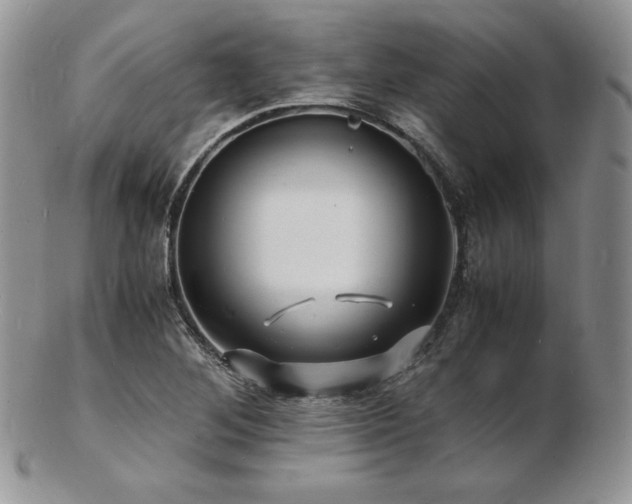 X0000103251268200808281456