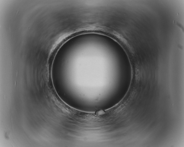 X0000103251270200808281456