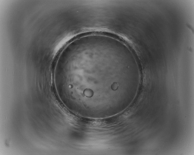 X0000103251271200808281455