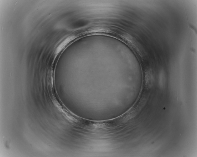 X0000103251274200808281455