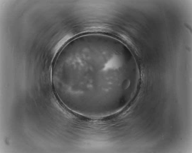 X0000103251275200808281455