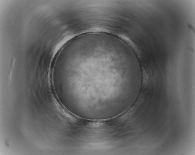 X0000103251278200808281455
