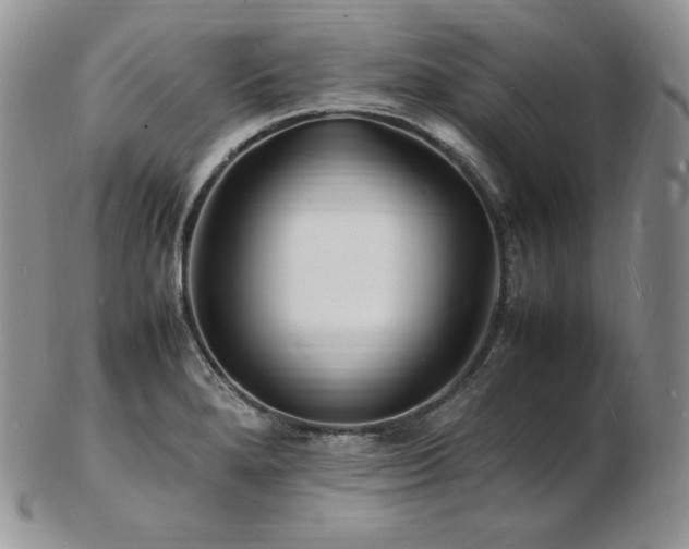 X0000103251280200808281455
