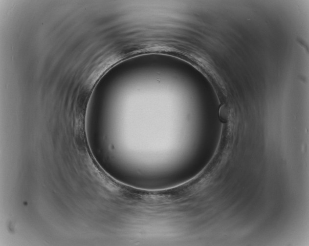 X0000103251281200808281455