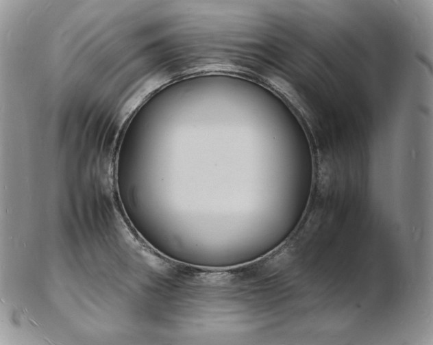 X0000103251282200808281455