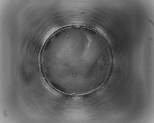 X0000103251283200808281455