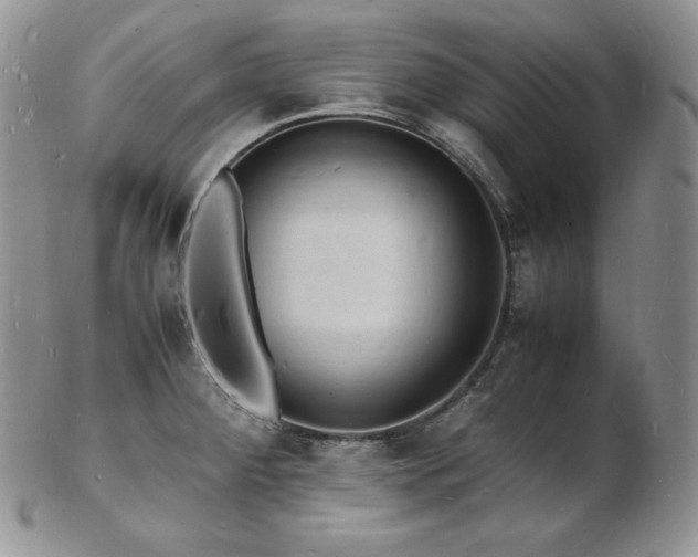 X0000103251284200808281455