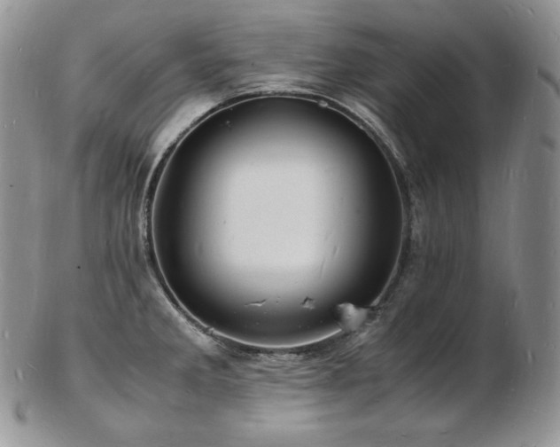 X0000103251285200808281455