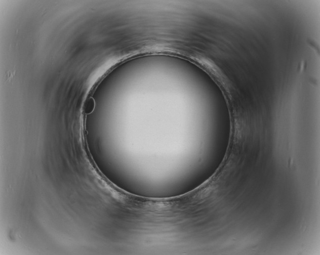 X0000103251286200808281455