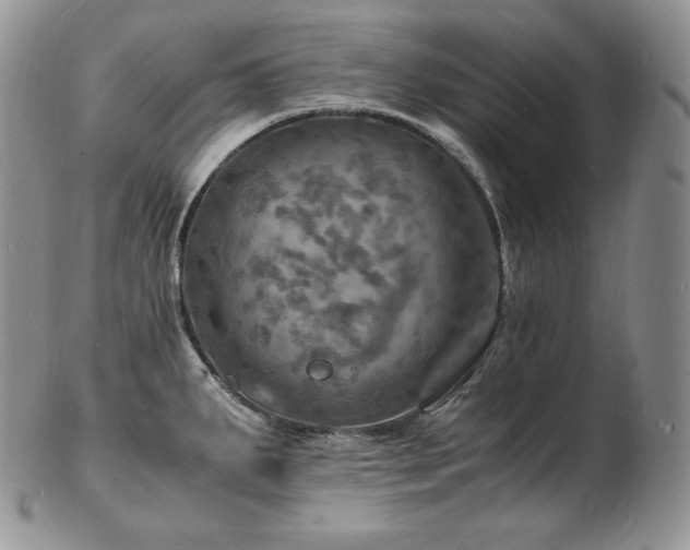 X0000103251287200808281455