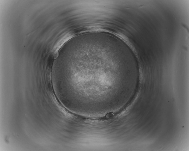 X0000103251289200808281455