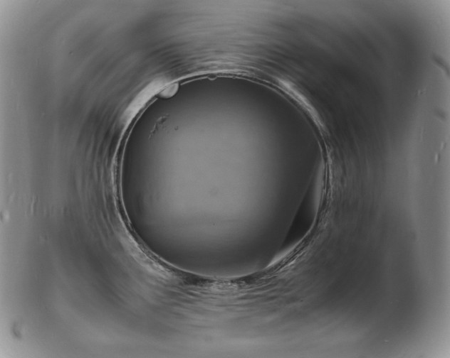 X0000103251291200808281455