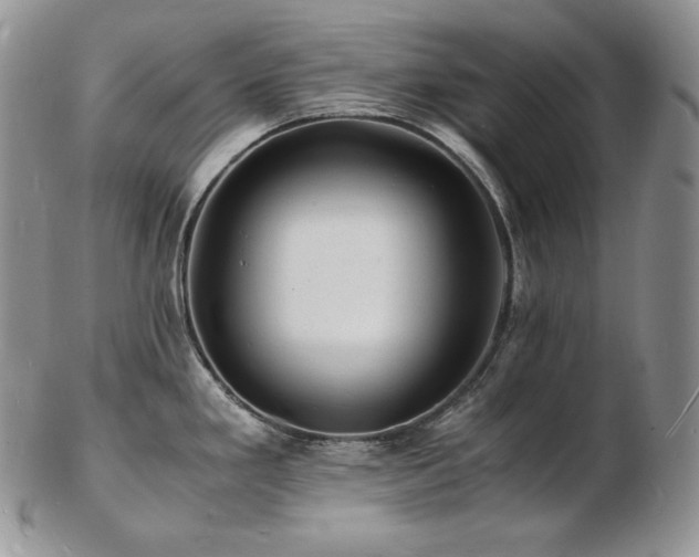 X0000103251293200808281455