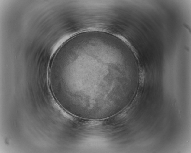 X0000103251294200808281455
