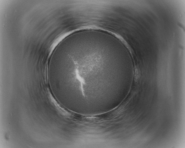 X0000103251295200808281455