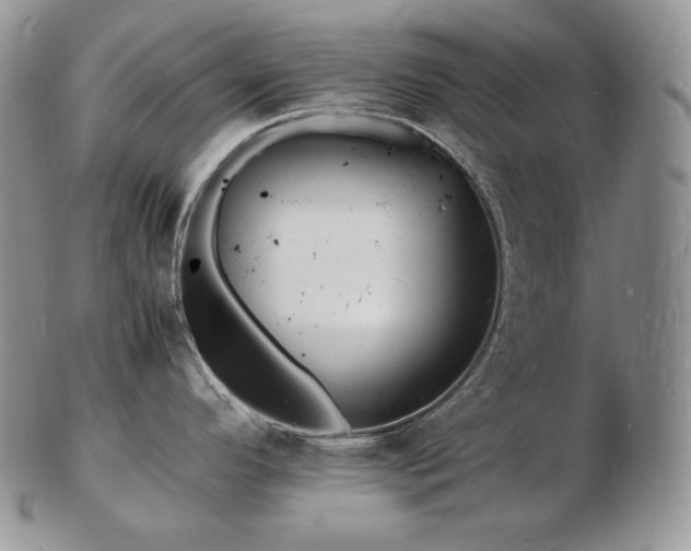 X0000103251296200808281455