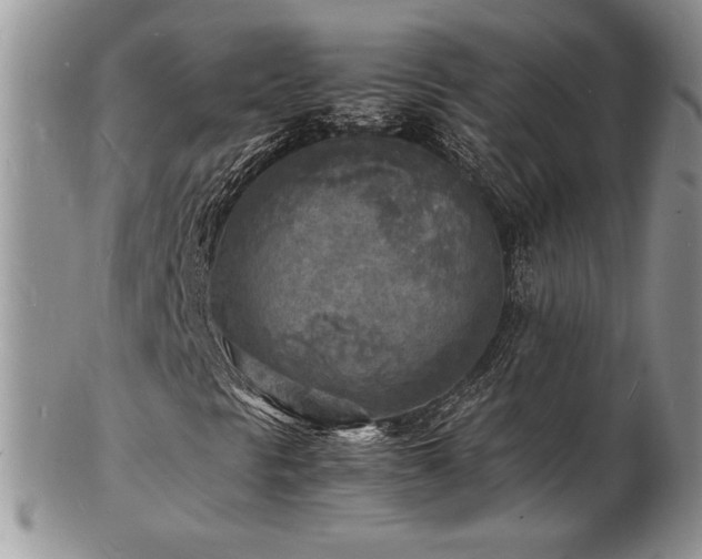 X0000103251297200808281454