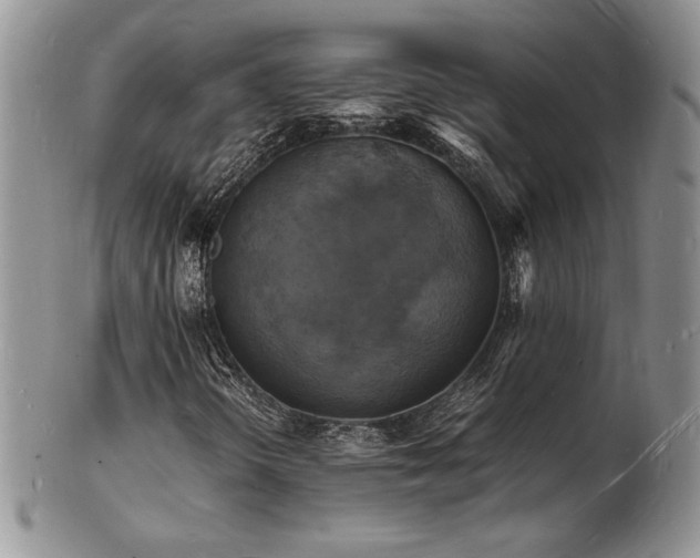 X0000103251298200808281454