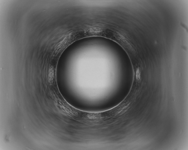 X0000103251299200808281454