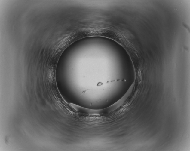 X0000103251300200808281454