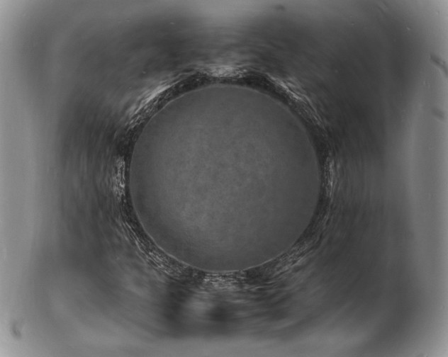 X0000103251301200808281454