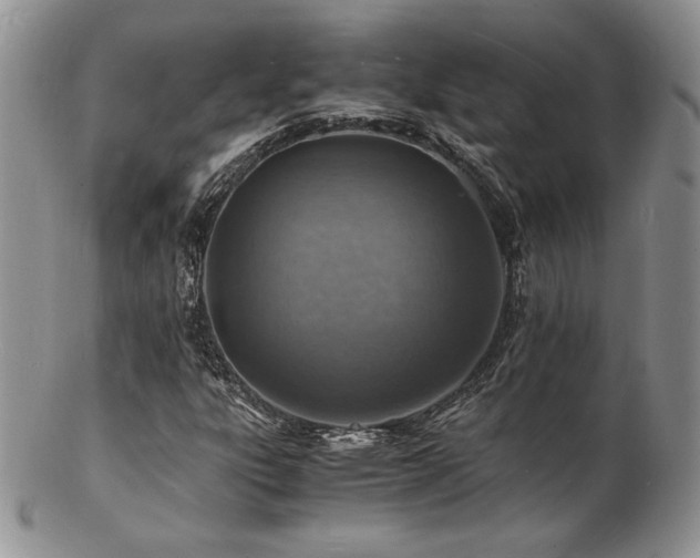 X0000103251303200808281454
