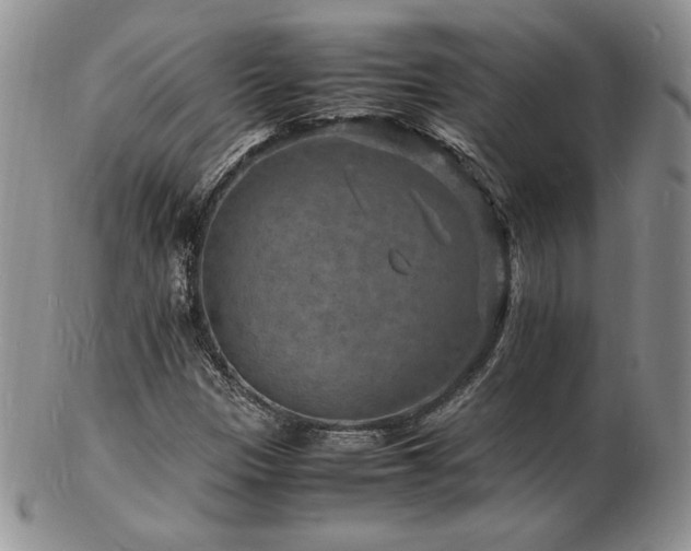 X0000103251305200808281454