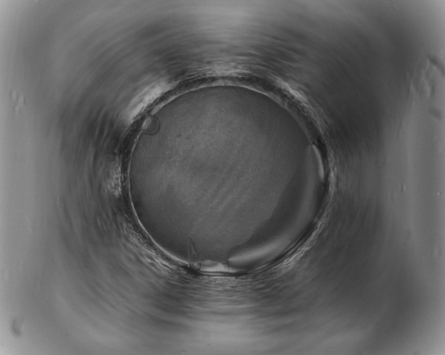 X0000103251306200808281454