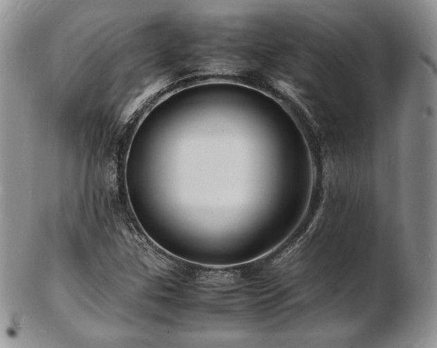 X0000103251307200808281454
