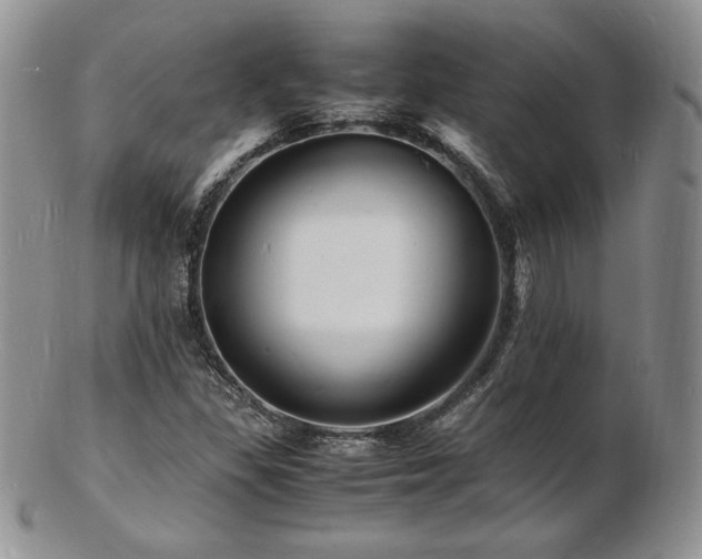 X0000103251309200808281454