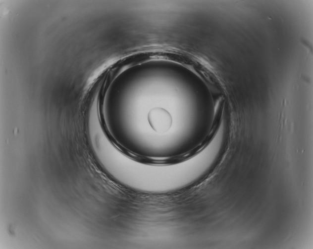 X0000103251310200808281454