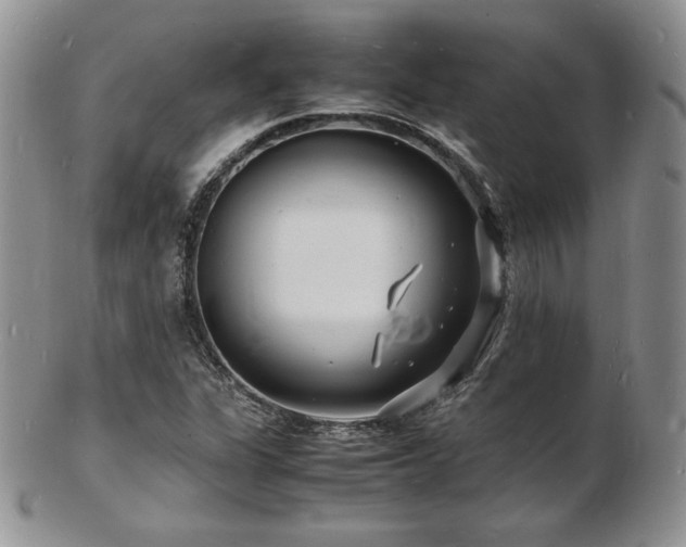 X0000103251311200808281455