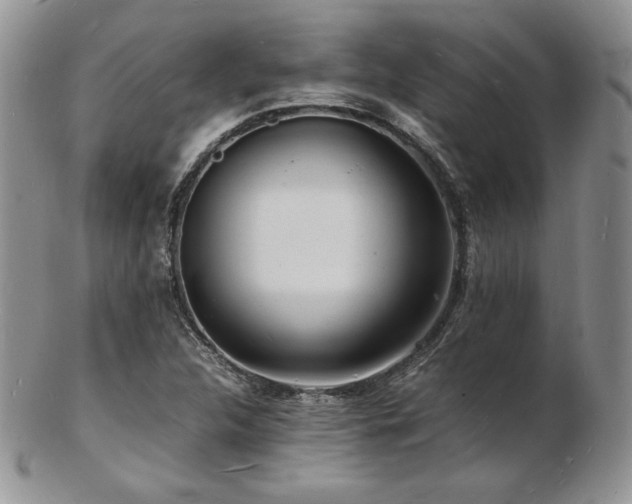 X0000103251312200808281455