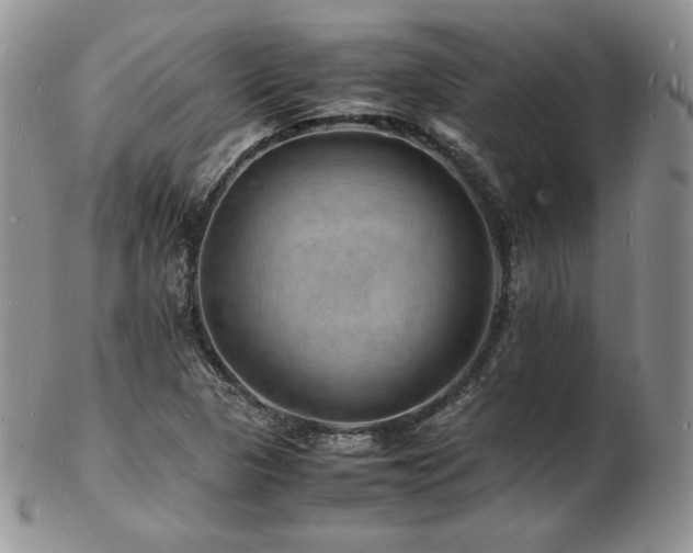 X0000103251313200808281455