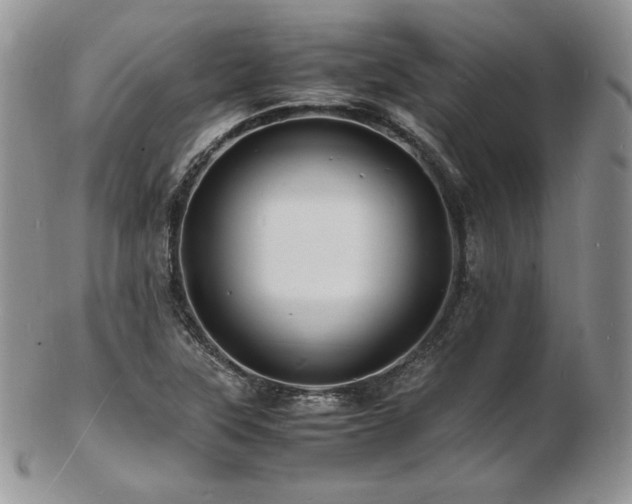 X0000103251315200808281455