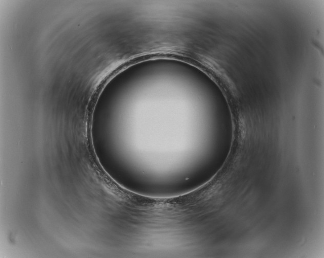 X0000103251316200808281455