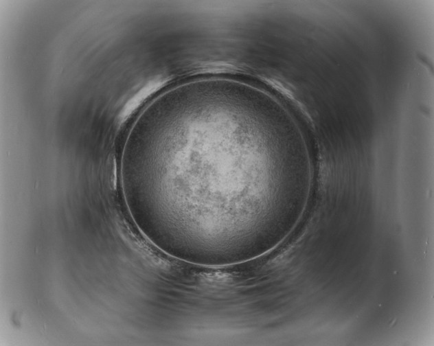 X0000103251317200808281455