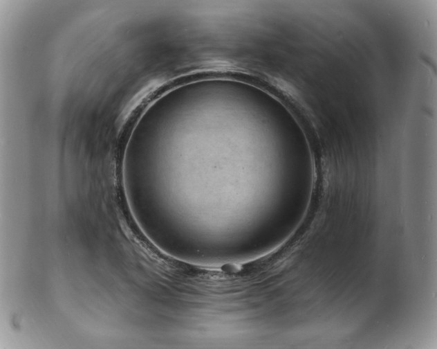 X0000103251318200808281455