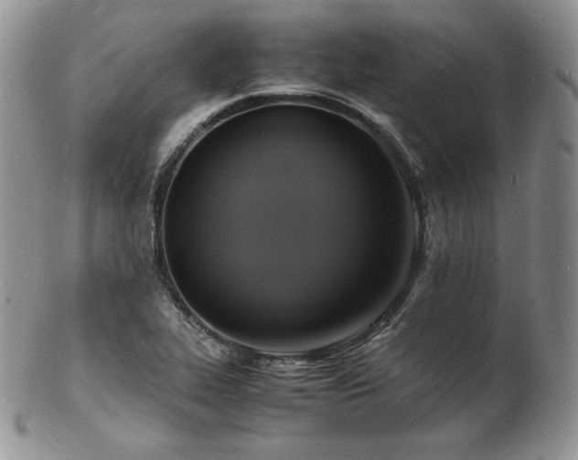 X0000103251319200808281455