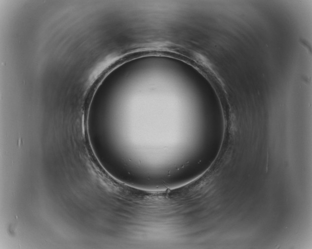X0000103251320200808281455