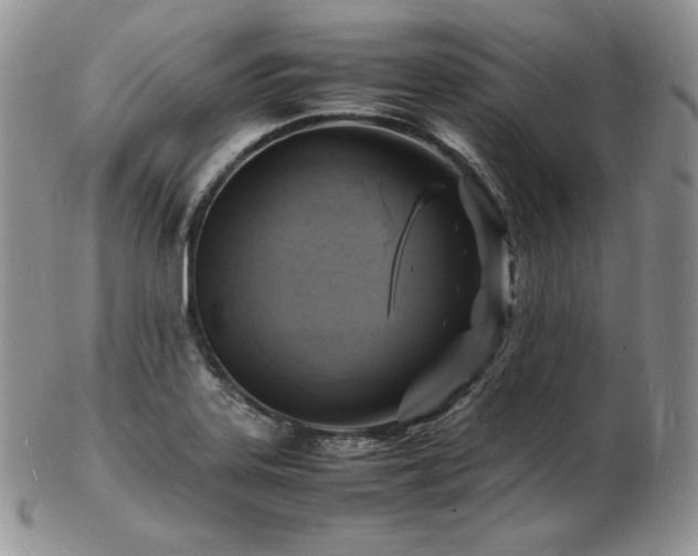 X0000103251323200808281455