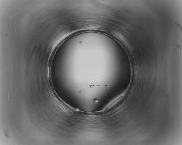 X0000103251324200808281455