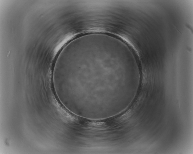 X0000103251325200808281455