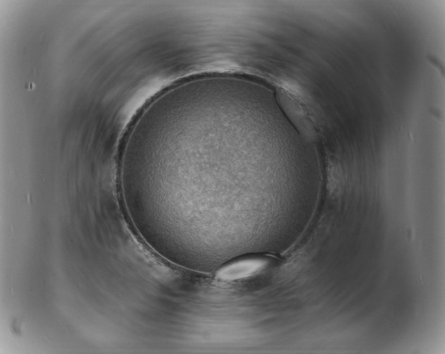 X0000103251326200808281455