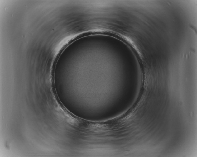 X0000103251327200808281455
