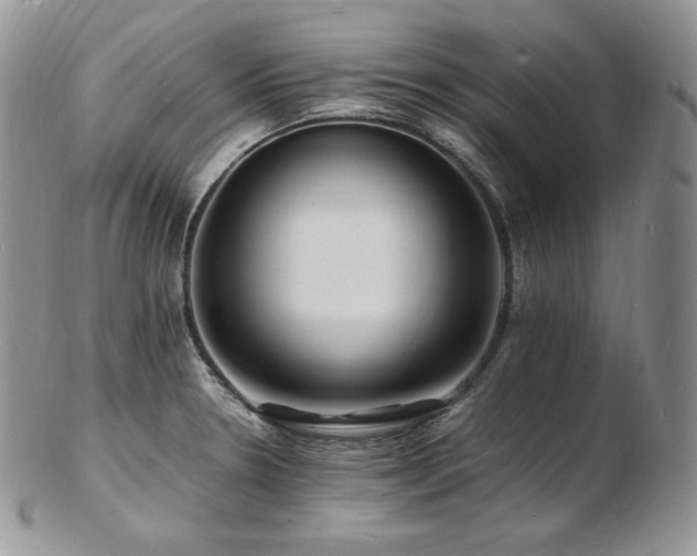 X0000103251330200808281455