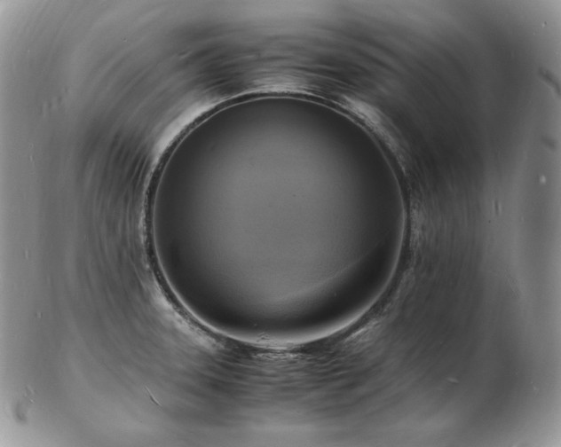 X0000103251331200808281455