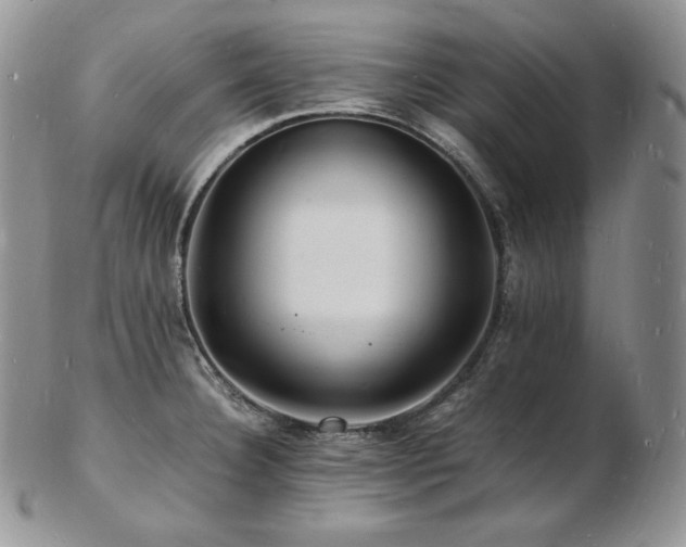 X0000103251332200808281455
