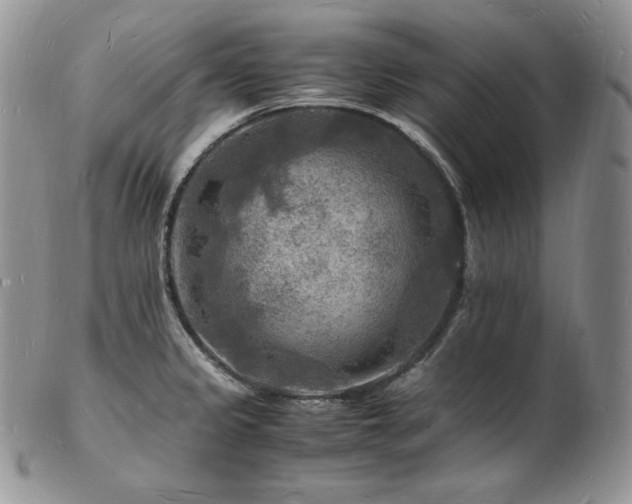 X0000103251333200808281455
