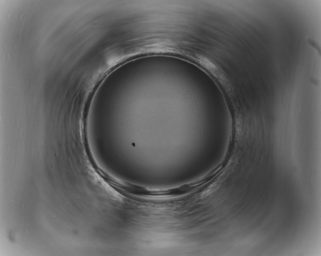 X0000103251334200808281455